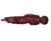 Lepadogaster candolii Risso, 1810